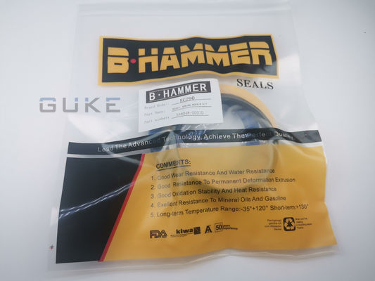 अच्छा दाम EC290B वोल्वो खुदाई ट्रैक समायोजक सील किट SA8048-0010 हटना स्प्रिंग सील किट ऑनलाइन